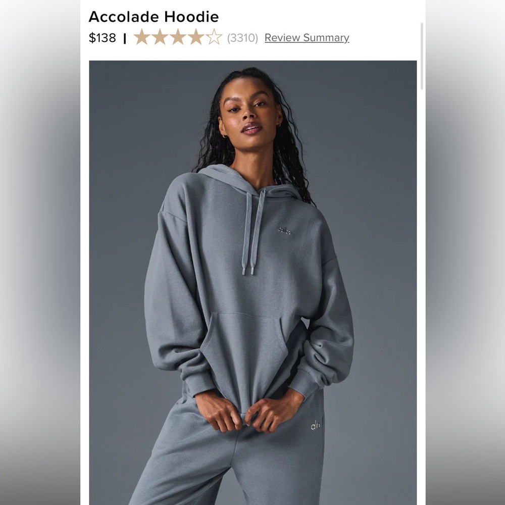 NWT accolade hoodie - steel gray
